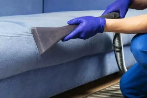 Carpet & Upholstery Cleaning