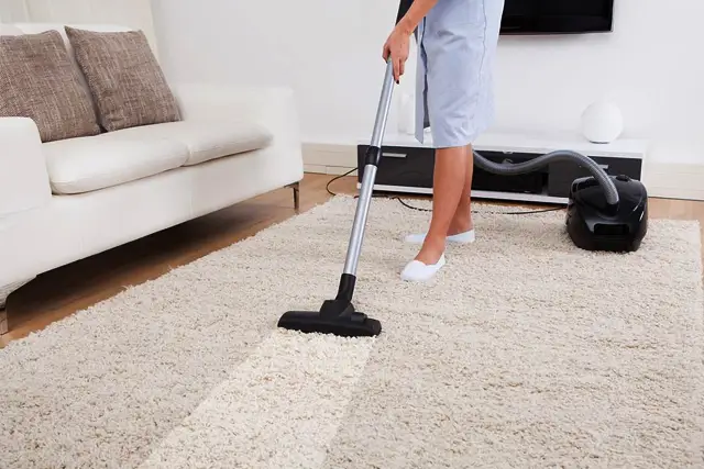 Carpet and Upholstery Cleaning